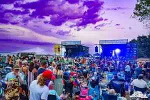 Baygrass Festival – Celebrate Music and Community Fun