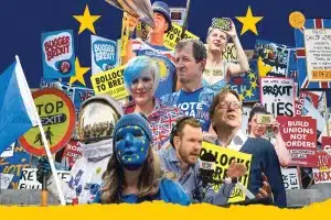 FBPE Cult Meaning Debate History and Online Behavior