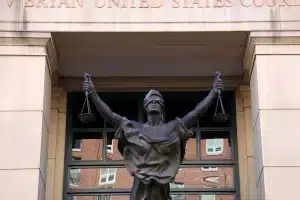 Libertyland Streamcomplet Meaning Safety Risks and Online Use