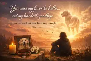 99+ Losing a Pet Quote Comforting Words for Healing