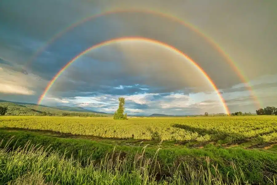 Rainbow Quote