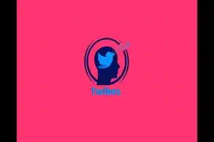 Twibes Meaning History Community Use and Online Value