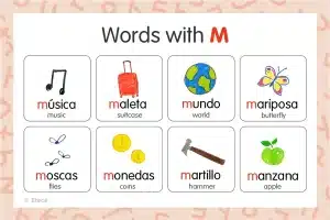 Words in Spanish That Start With M and Their Everyday Power
