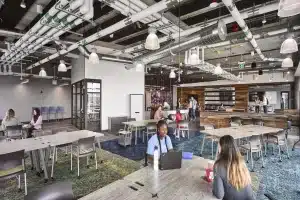 Amfam Ventures Driving Innovation in Insurance Future