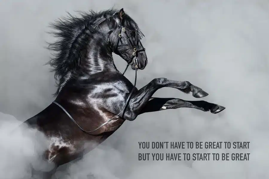 horse quotes