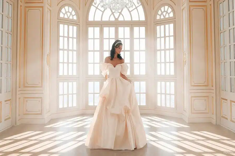 Disney Belle Wedding Dress