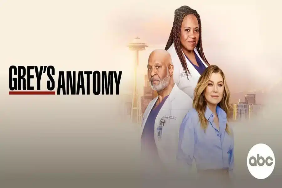Grey's Anatomy Season 21