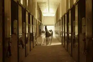 How PR Teams Monitor Horse-Sport Narratives During Big Events