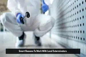 Smart Reasons To Work With Local Exterminators