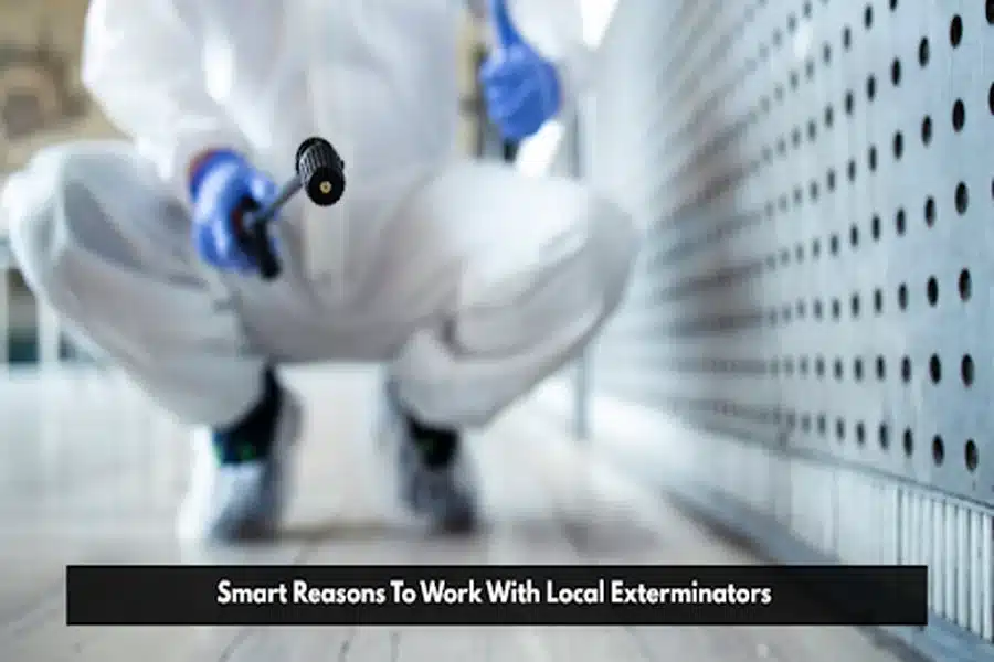 Smart Reasons To Work With Local Exterminators