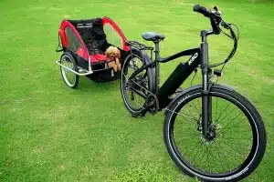 Mobility Support for Dogs Is Reshaping What Active Care Looks Like