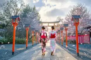 Japan in a Day: Journey Through Tradition and Tech