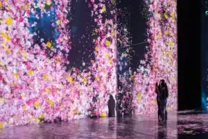 Benefits of Exploring International Art Exhibitions