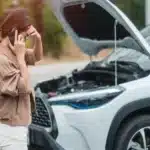 Vehicle Owners 