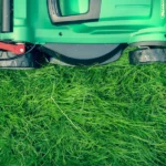lawn care