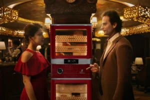What Makes Raching Electric Humidors Different?